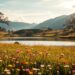 how someone helped you see beauty again