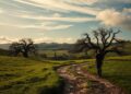 why I stopped hiding who I was